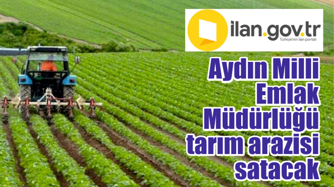 Aydın Milli Emlak Müdürlüğü tarım arazisi satacak
