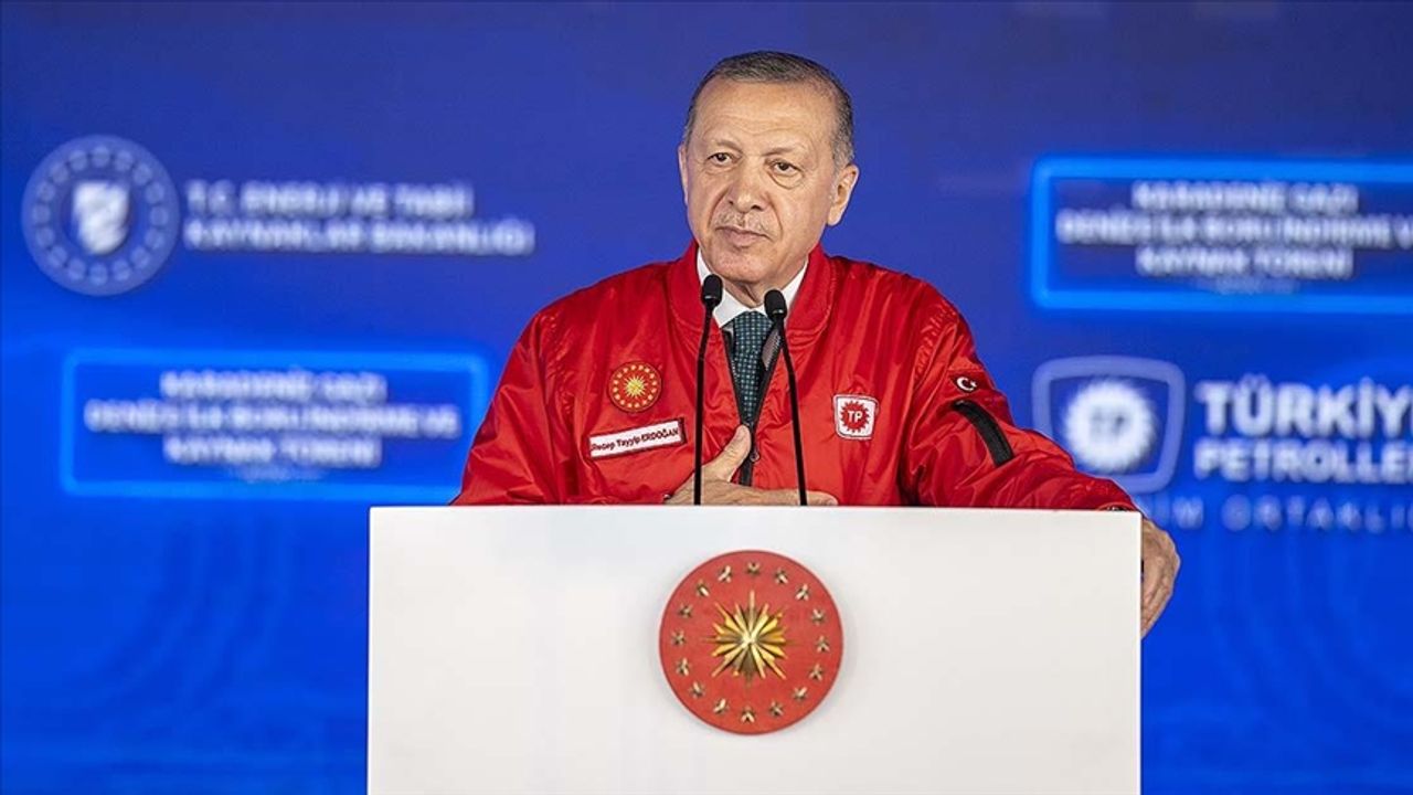 Cumhurbaşkanı Erdoğan'dan 'ücretsiz doğalgaz' açıklaması