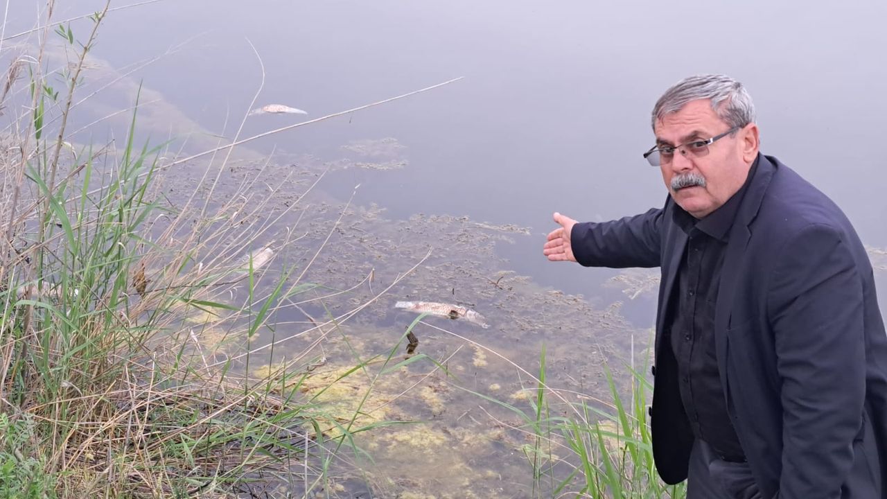 Aydın’ın tek doğal gölünde toplu balık ölümleri başladı