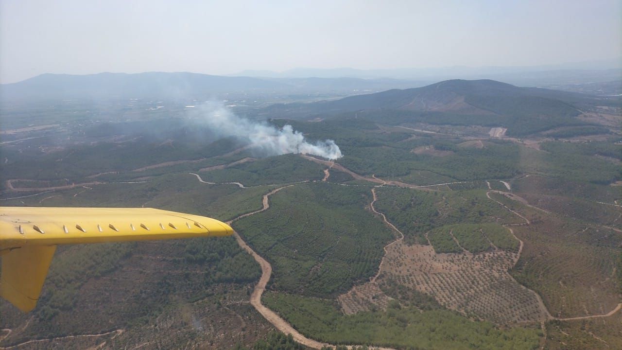 İzmir Torbalı'da çıkan orman yangını kontrol altına alındı
