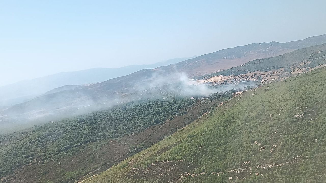İzmir Foça'da çıkan orman yangını kontrol altına alındı