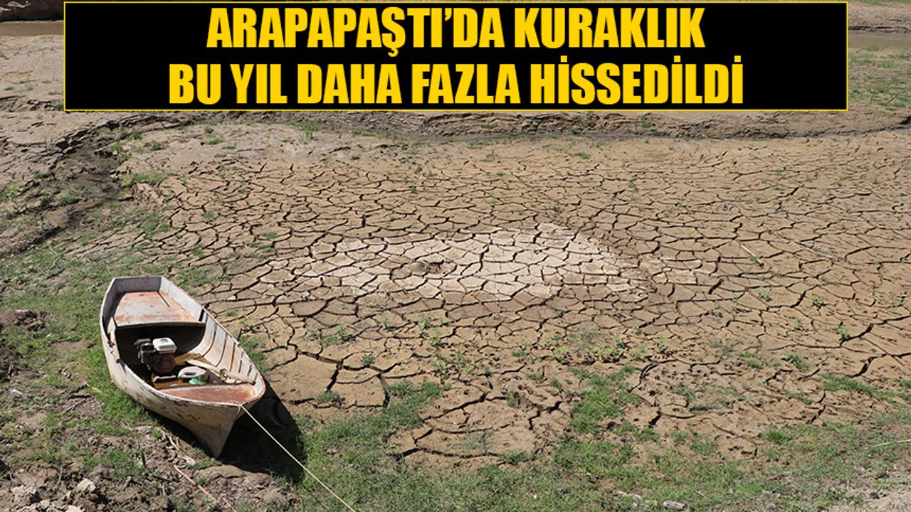 Arapapaştı’da kuraklık bu yıl daha fazla hissedildi