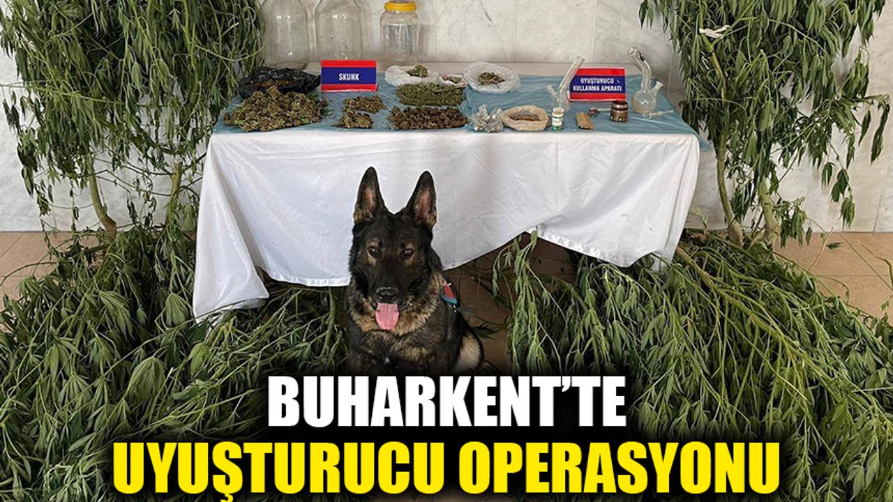 Buharkent’te uyuşturucu madde operasyonu