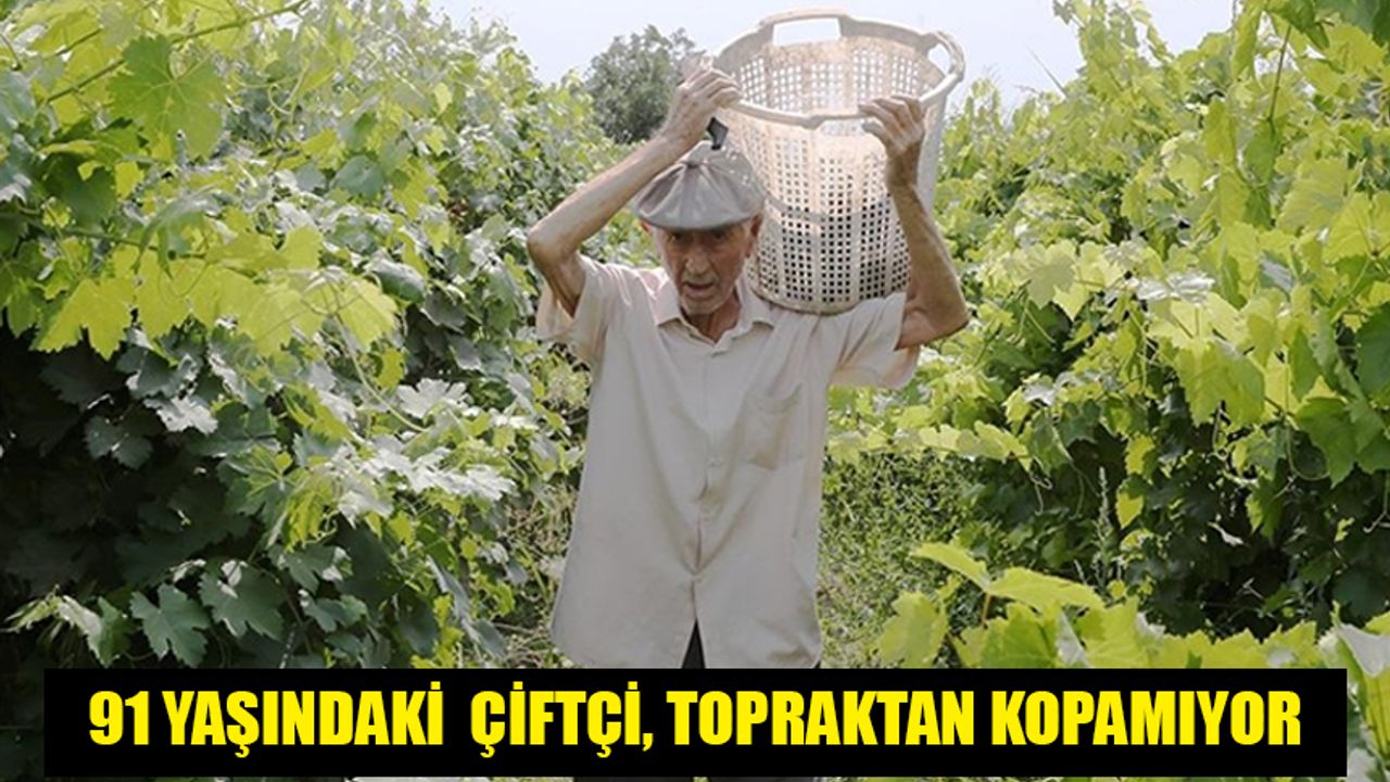 91 yaşındaki çiftçi, topraktan kopamıyor