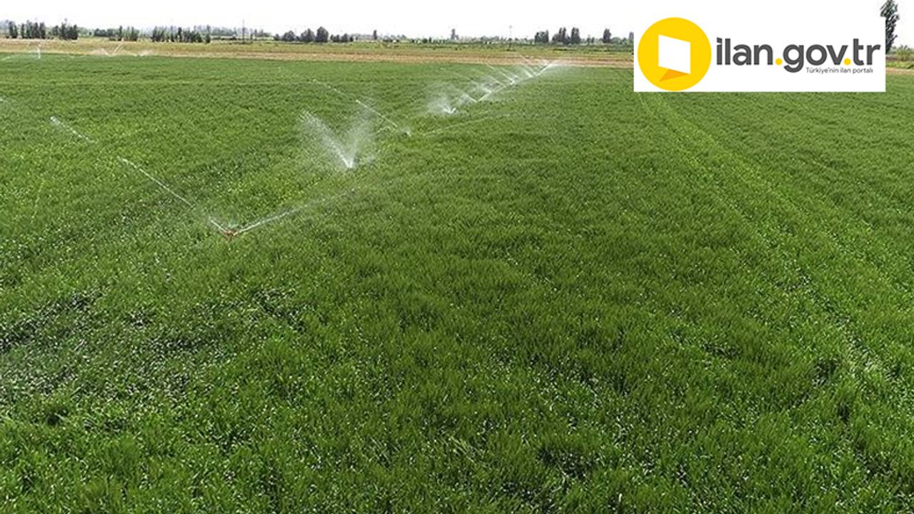 Yenipazar'da sulu tarım arazisi satılacak