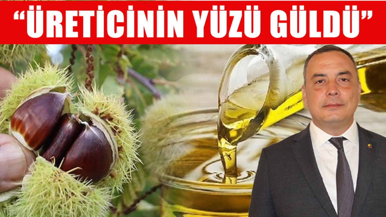 ATB Başkanı Çondur, zeytin ve kestane sezonunu değerlendirdi