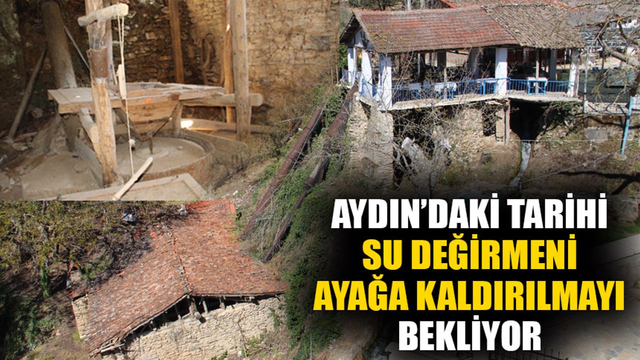 Aydın’daki tarihi su değirmeni ayağa kaldırılmayı bekliyor