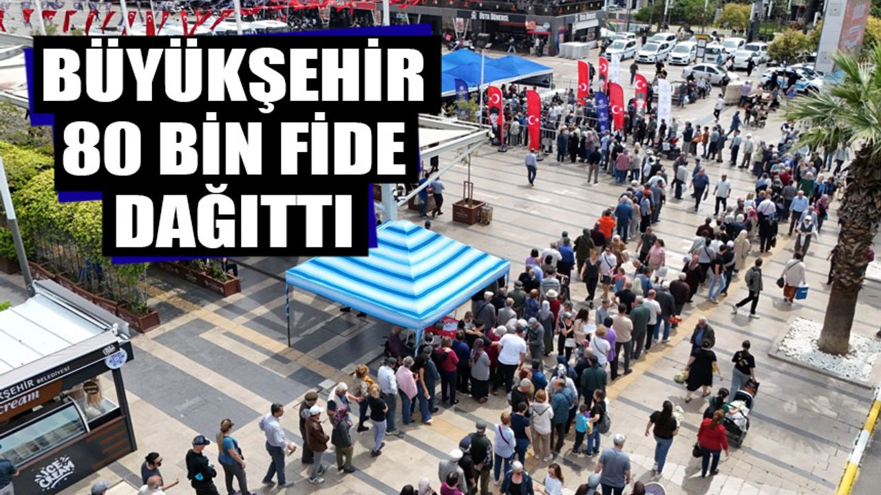 Büyükşehir 80 bin fide dağıttı