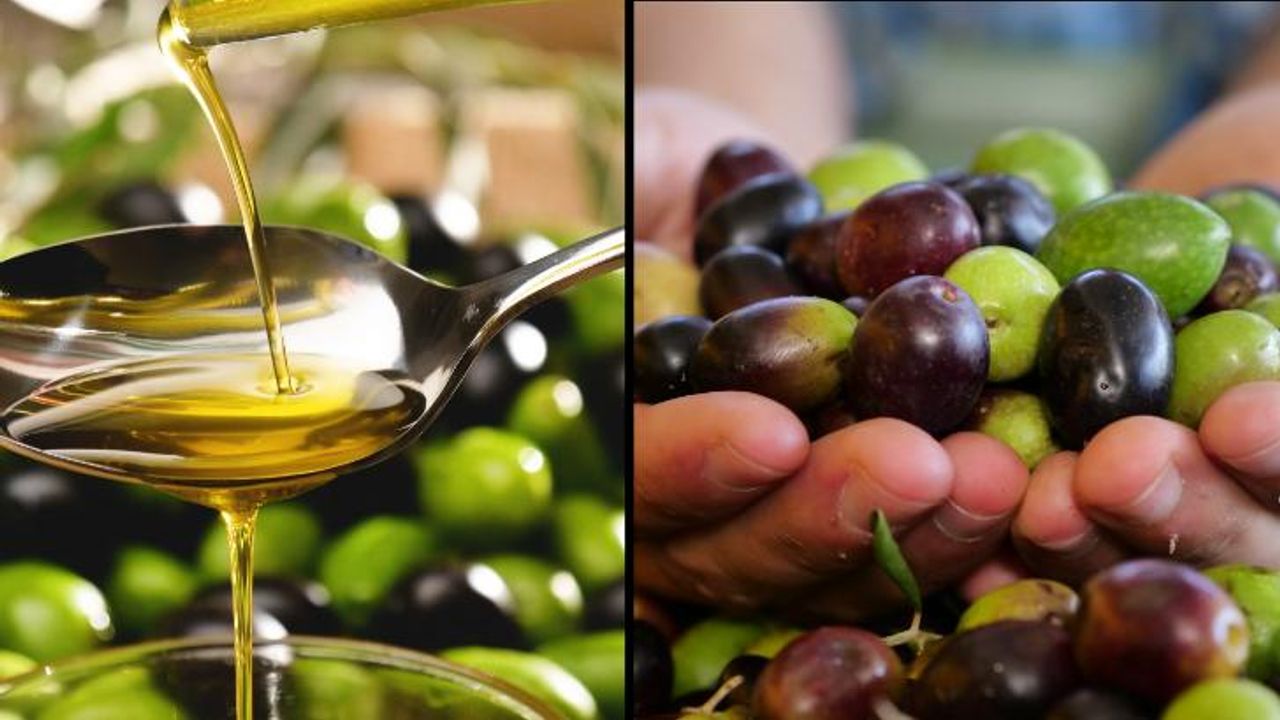 Zeytin zeytinyağı ihracatçılarından yüzde 175’lik rekor