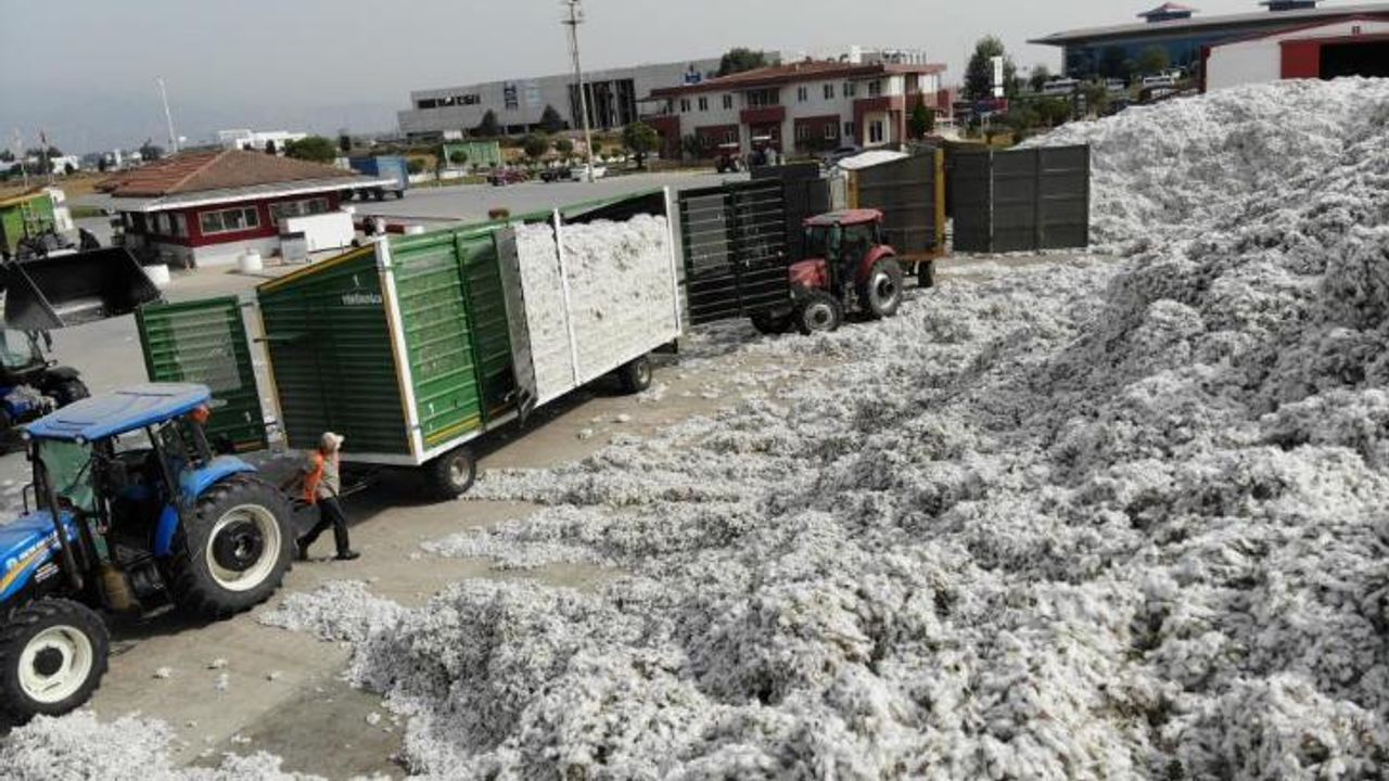 TARİŞ’e rağbet arttı, depolar 10 bin 200 ton pamukla doldu