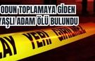 Odun toplamaya giden yaşlı adam ölü bulundu