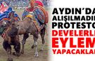 Aydın’da alışılmadık protesto: Develerle eylem yapacaklar