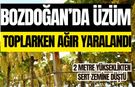 Bozdoğan’da üzüm toplarken ağır yaralandı
