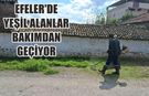 Efeler’de yeşil alanlar bakımdan geçiyor