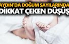 Aydın’da doğum oranında dikkat çeken düşüş