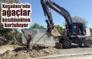 Kuşadası’nda 410 ağaç doğaya yeniden kazandırıldı