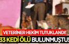 33 kedinin ölü bulunması soruşturmasında veteriner hekim tutuklandı