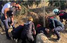 12 metrelik kuyuya düşmüştü... 5 günlük yaşam mücadelesini kaybetti