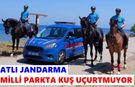 Atlı jandarma Milli Parkta kuş uçurtmuyor