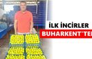 Aydın'da taze incir sezonu