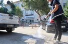 Didim'de haşereye geçit yok!