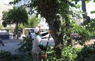 Nazilli’de sonbahar hazırlığı başladı