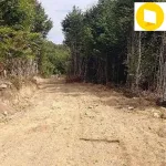 Muğla Orman İşletme Müdürlüğü orman yolu yaptıracak
