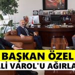 Bozdoğan'a ağır misafir