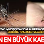 Geceleri kaşınarak mı uyanıyorsunuz? Sizi ne ısırıyor olabilir? İşte cevabı...