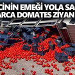 Üreticinin emeği yola saçıldı! Tonlarca domates ziyan oldu