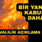 Ormanlık alanda çıkan yangında ekipler seferber oldu