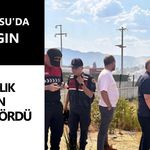 Karacasu'da yangın