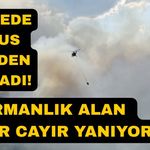Orman yangınına ekipler havadan ve karadan müdahale ediyor