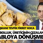 Aydın’da incir sezonu öncesi üreticinin gözü fiyatta!