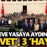 Çerçeve yasaya Aydın’dan 5 ‘evet’, 3 ‘hayır’