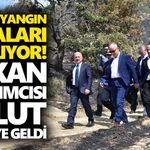 Çine’de yangın yaraları sarılıyor! Bakan Yardımcısı Bulut bölgeye geldi