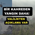Ormanlık alanda çıkan yangın ekipleri seferber etti