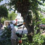 Nazilli’de sonbahar hazırlığı başladı