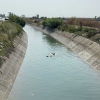 Asayiş