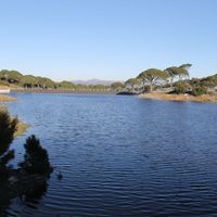 Karacasu