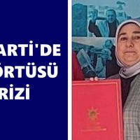 Bozdoğan