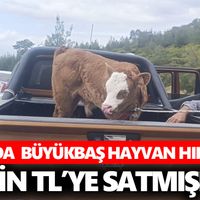 Aydın