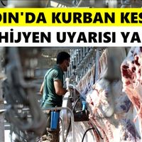 Aydın