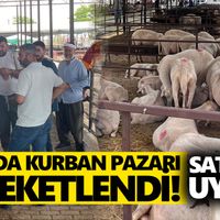 Aydın