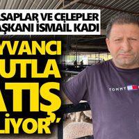 Aydın