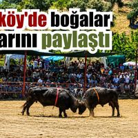 Germencik