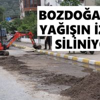 Bozdoğan