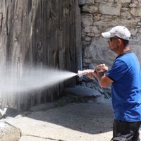 Bozdoğan