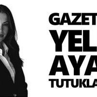 Aydın
