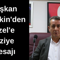 Efeler